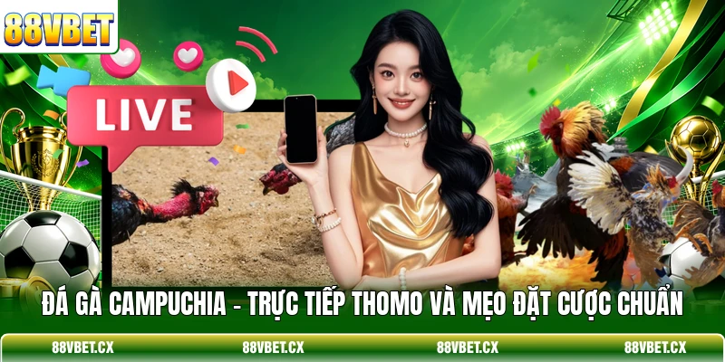 Đá Gà Campuchia - Trực Tiếp Thomo Và Mẹo Đặt Cược Chuẩn 1 Đá Gà Campuchia