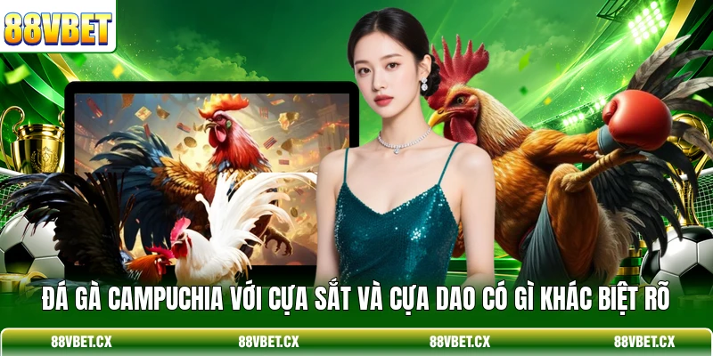 Đá Gà Campuchia - Trực Tiếp Thomo Và Mẹo Đặt Cược Chuẩn 2 Đá gà Campuchia với cựa sắt và cựa dao có gì khác biệt rõ