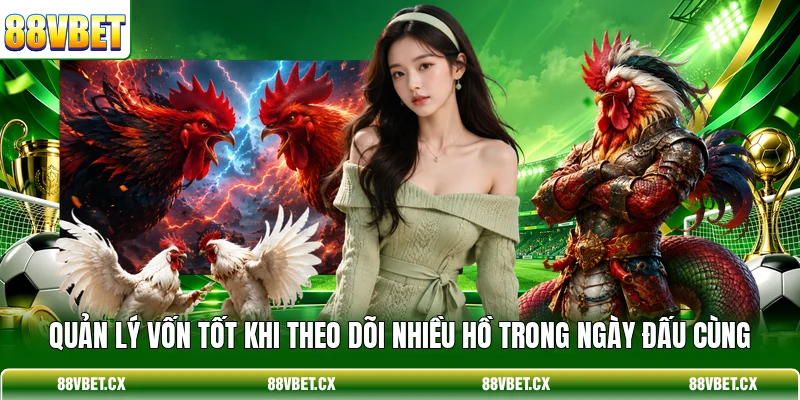 Đá Gà Campuchia - Trực Tiếp Thomo Và Mẹo Đặt Cược Chuẩn 4 Quản lý vốn tốt khi theo dõi nhiều hồ trong ngày đấu cùng